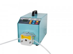 解读佛像朝向的问题