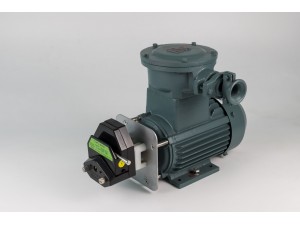 YZ2515+防爆电机（FB-YZ25）（★配置变频器使用★）